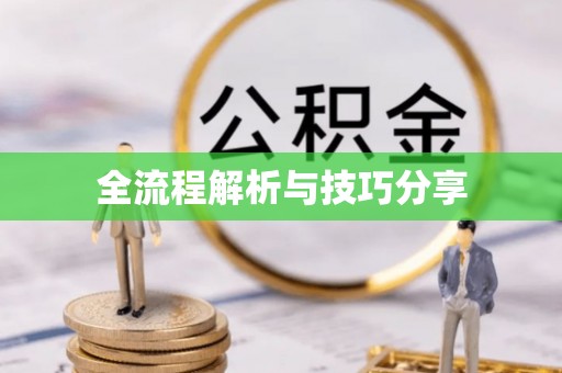 官渡全流程解析与技巧分享